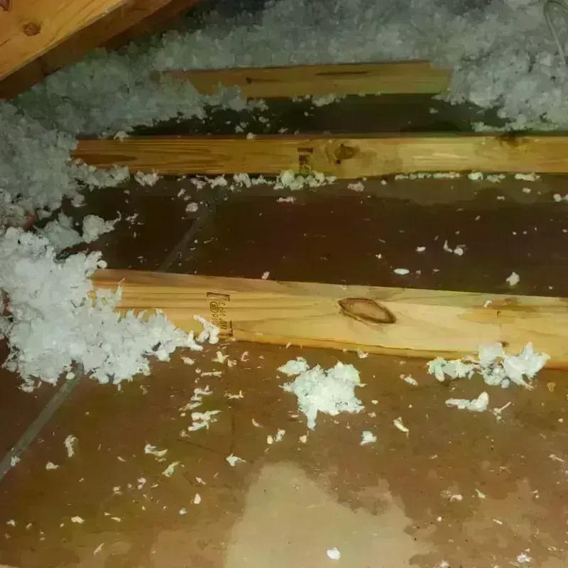 Attic Water Damage in Roscommon, MI