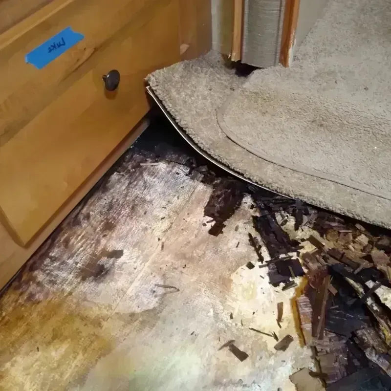 Best Wood Floor Water Damage Service in Roscommon, MI